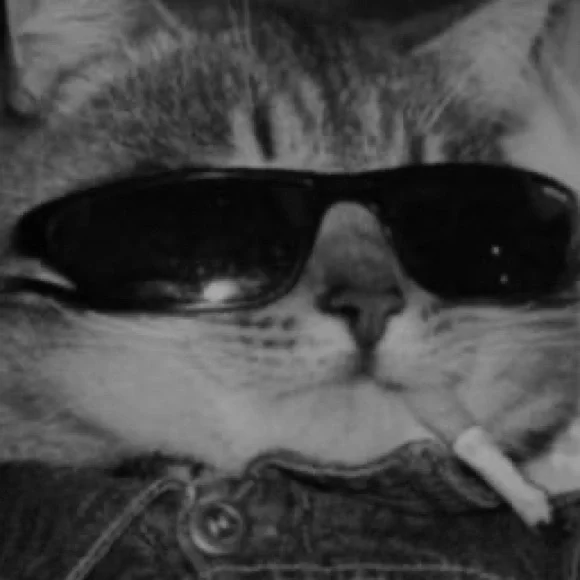 Offrackfinds - Picture 1 of 1